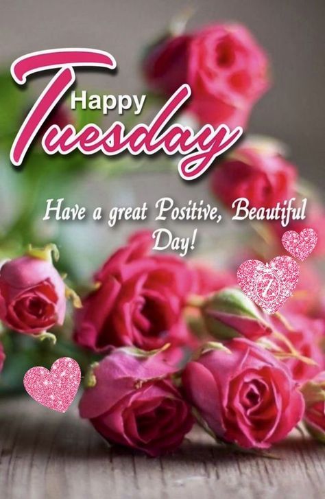 Good Morning Happy Tuesday Images, Happy Tuesday Blessings, Beautiful Day Quotes, Good Morning Happy Tuesday, Good Night Love You, Happy Tuesday Images, Happy Tuesday Morning, Happy Sabbath Images, Tuesday Quotes Good Morning