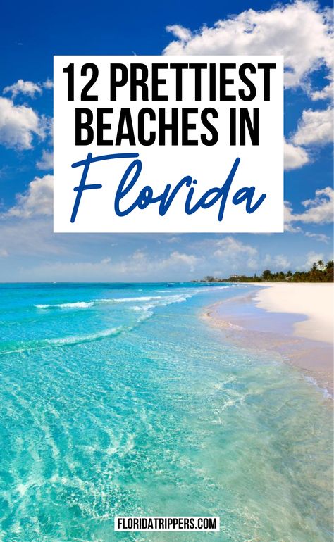 Day Trips Florida, Best Places In Florida To Vacation, Most Beautiful Beaches In Florida, Florida Trip Ideas, Opal Beach Florida, Best Family Beaches In Florida, Best Florida Beaches Families, Sea Side Florida, Best Places To Visit In Florida