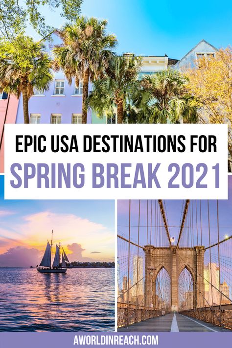 20 Epic Spring Break Destinations in the USA for College Students • A World in Reach Spring Break Travel Ideas, Best Spring Break Destinations, Spring Travel Destinations, College Student Budget, College Spring Break, College Usa, Spring Break Vacation, Spring Break College, Spring Break Vacations