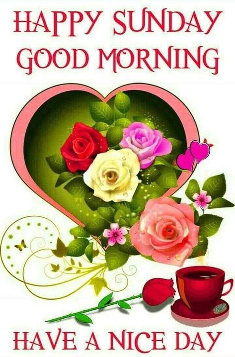 10 Beautiful Good Morning & Happy Sunday Greetings With Images Sunday Good Morning Images, Sunday Blessings Images, Happy Sunday Images, Good Morning Sunday Images, Happy Sunday Morning, Sunday Morning Quotes, Sunday Greetings, Sunday Wishes, Sunday Blessings