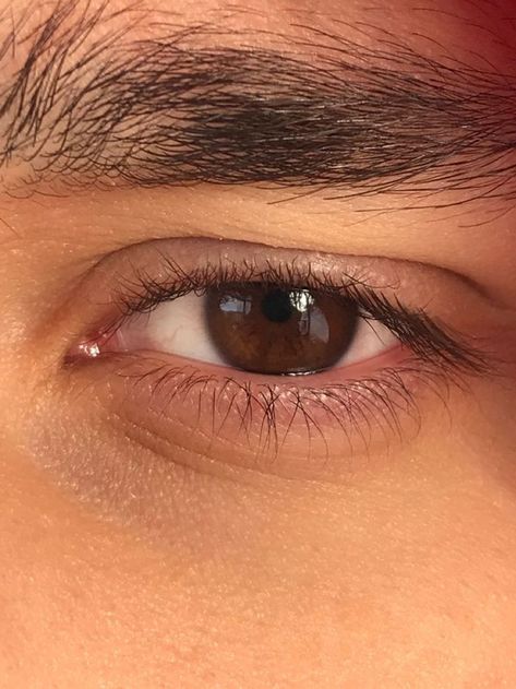 Aesthetic Hazel Eyes, Brown Eyes Guy, Brown Hair Brown Eyes Guy, Hazel Brown Eyes, Brown Eyes Aesthetic, Brown Eye Boys, Rosalie Hale, Pretty Brown Eyes, Eyes Aesthetic