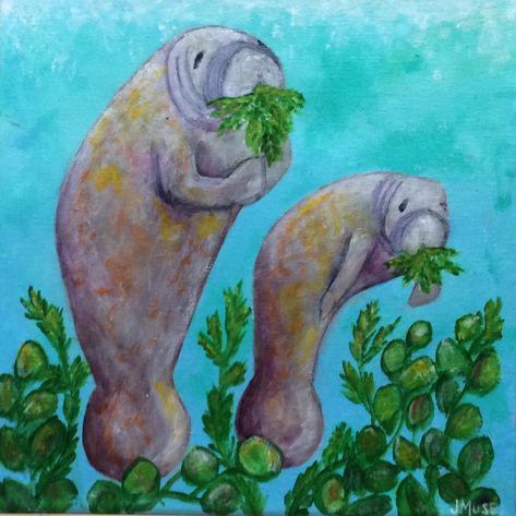 Manatee Painting Easy, Manatee Painting, Manatee Drawing, Manatee Art, Summer Painting, Amazing Paintings, Diy Watercolor Painting, Water Art, Art Inspiration Painting