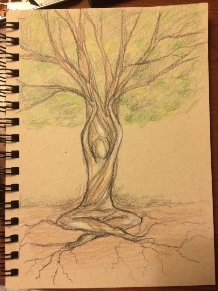 Tree Meditation, Person Meditating, Ancient Tree, A Tree, My Mind, Meditation, Quick Saves