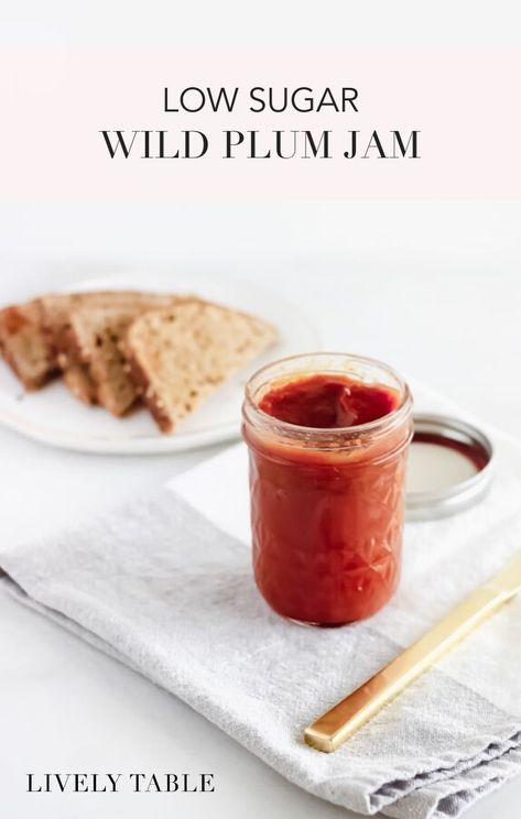 Preserve summer's plums with this delicious recipe for low-sugar wild plum jam. #glutenfree #jam #jelly #plum #preserves #lowsugar #summer #canning #recipes Wild Plum Jam Recipe, Making Caviar, Wild Plum Jelly Recipe, Wild Plum Jelly, Wild Plum Jam, Summer Canning, Plum Preserves, Plum Jam Recipes, Low Sugar Jam