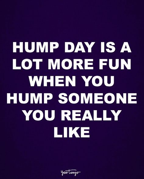 Hump Day Quotes Flirty, Quotes Flirty, Hump Day Quotes, Hump Day Humor, Funny Flirty Quotes, Flirting Body Language, Quotes Beautiful, Sweet Love Quotes, Drinking Quotes