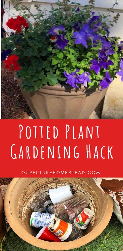 Learn a qick, easy, and free gardening hack for your potted plants that makes your life easier when using pots for planting around your home. Potting Plants For Beginners, Terra Cotta Pots Garden, Large Terracotta Pots, Planting Pots, Potted Plants Outdoor, Garden Plant Pots, Plants Outdoor, Plant Hacks, Herb Pots