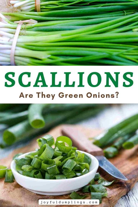 what do scallions look like Kake Udon, Scallions Recipes, Growing Bulbs, Baking Basics, Cooking 101, Green Onion, Stir Fries, Asian Cooking, Healthy Digestion