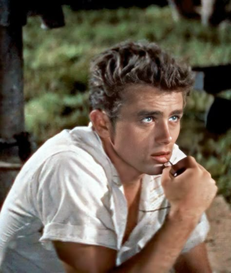 Marlon Brando James Dean, Xavier Samuel, Elia Kazan, Sets Your Soul On Fire, James Dean Photos, Jimmy Dean, East Of Eden, Hollywood Men, Marcel Proust