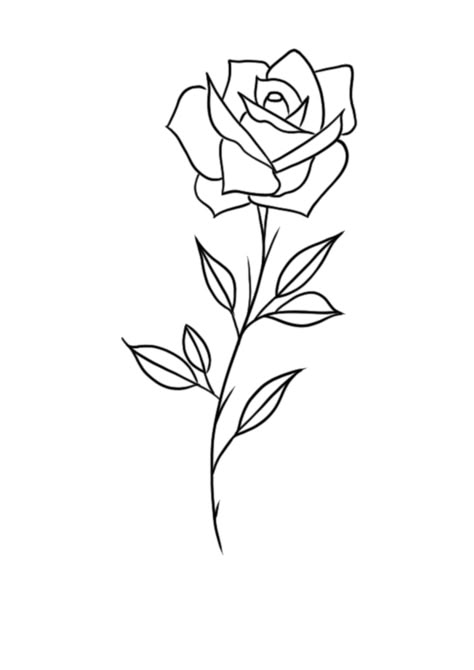 Rose Tattoo Drawing Sketches, Rose Sketch Simple, Rose Simple Tattoo, Painting Hd Wallpaper, Minimalist Rose Tattoo, Simple Rose Drawing, Rose Tattoo Outline, Abstract Rose Painting, Rose Line Drawing