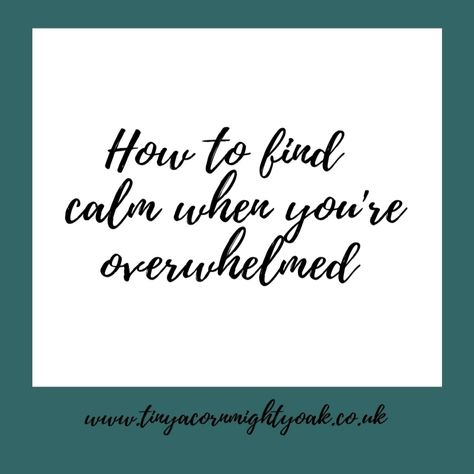 Nourish: How to find calm when you’re overwhelmed – Tiny Acorn Mighty Oak Mighty Oaks, How To Find, Self Care, Blogging, Pins