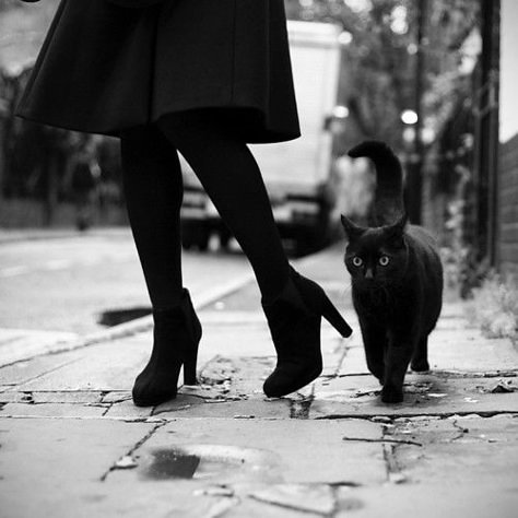 _There's_A_Black_Cat_On_My_Screen_And_Its_Not_Even_Friday_Yet_  I_Still_Have_3_Hours_And_15_Minutes_Left_     *20:45* Yennefer Of Vengerberg, Catty Noir, Modern Witch, A Black Cat, Season Of The Witch, Witch Aesthetic, Witchy Woman, Witchy Vibes, Coven