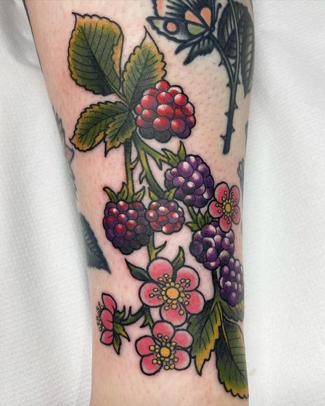 Lauren Perks | It’s berry season! 🍓 🫐 I’d love to tattoo more brambles and fruity tattoos ❤️ @bloomstreettattoo #manchestertattoo #manchestertattooist… | Instagram Boysenberry Tattoo, American Traditional Raspberry Tattoo, Salmon Berry Tattoo, Blackberry Tattoo Sleeve, Berry Bush Tattoo, Fruity Tattoos, Mulberry Tattoo, Berry Tattoos, Fruit Tattoo Ideas