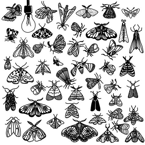 Insect Patchwork Tattoo, Small Bug Tattoo Simple, Insect Flash Tattoo, Tattoo Ideas Bugs, Moth Stick And Poke, Bug Flash Tattoo, Small Insect Tattoo, Simple Bug Tattoo, Moth Tattoo Simple