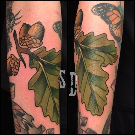 American Traditional Leaves, Tattoo Oak Leaf, Oak Leaves Tattoo, Acorn And Leaf Tattoo, Acorn Oak Leaf Tattoo, Oak Leaf Tattoo, Oak Leaves And Acorns Tattoo, Oak Tattoo, Oak Leaf Tattoos