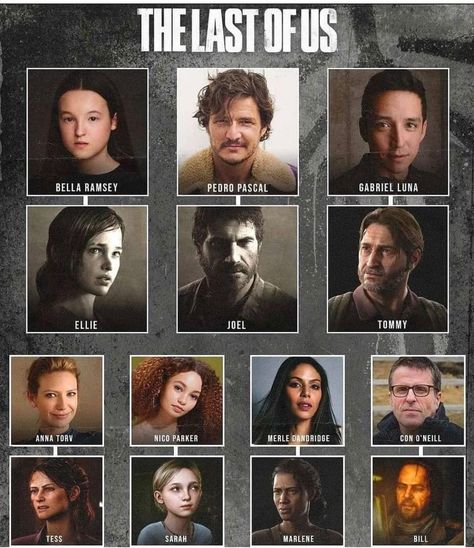 The Last Of Us Tommy, The Last Of Us Tv, Anna Torv, Pedro Pascal, Last Of Us, Tv Shows, Tv, Movie Posters, Film Posters