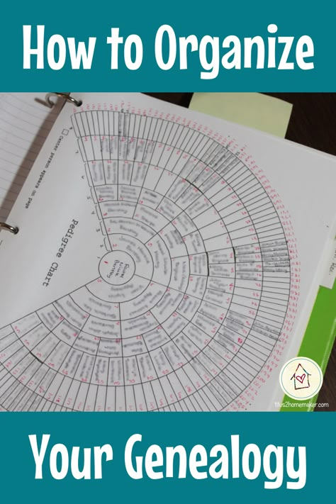 If your #genealogy research is a mess (of papers or digital files) these organization ideas are helpful Family History Organization, Family Tree Projects, Genealogy Scrapbooking, Genealogy Organization, Pedigree Chart, Genealogy Help, Genealogy Ideas, Family Tree Research, Genealogy Chart