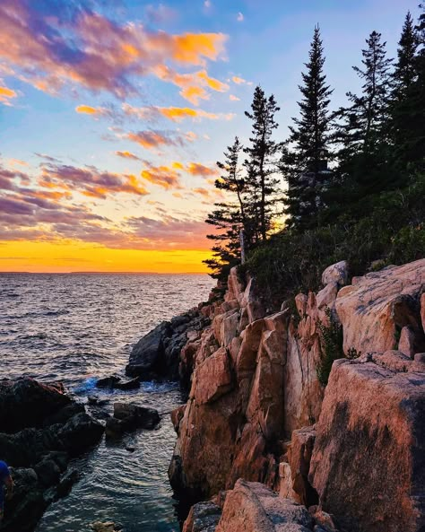 📍Acadia National Park, Maine . . #maine #acadia #iphonephotography #travelphotography Acadia National Park Aesthetic, Acadia National Park Photography, Maine Roadtrip, Arcadia National Park, Image Prompts, Acadia National Park Maine, Writing Images, Book Edits, Top Places To Travel