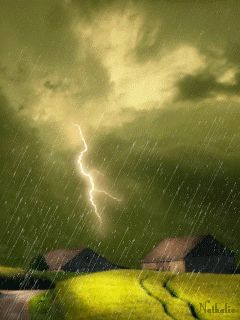 Rain Gif, Smell Of Rain, I Love Rain, Amazing Gifs, Rain Storm, Love Rain, Walking In The Rain, Rainy Night, Gif Pictures