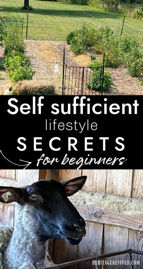 Fenced in garden with a picture of a sheep below and text "self sufficient lifestyle secrets for beginners" Living Self Sufficient, How To Become Self Sufficient, Living Off The Land Self Sufficient, Self Reliant Living, How To Be Self Sufficient, Self Sustaining Farm, Self Sufficient Living, Small Homestead, Self Sufficient Homestead