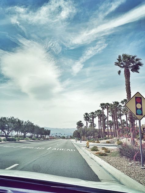 Twenty Nine Palms California, Vegas Palm Trees, Palm Tree California, 1920s California, Las Vegas Palm Trees, 29 Palms, Bucket List, Globe, The Twenties