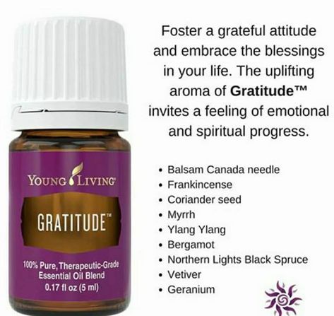 The Oils of Gratitude. Young Living Frankincense, Spruce Essential Oil, Vetiver Essential Oil, Healing Essential Oils, Living Essentials Oils, Young Living Oils, Oil Uses, Essential Oil Uses, Diffuser Blends