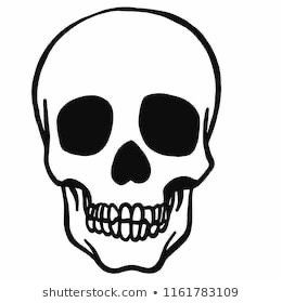 Simple Skull Drawing, Easy Skull Drawings, Skull Template, Simple Skull, Skull Stencil, Skull Sketch, Skulls Drawing, Tattoo Style Drawings, Skull Tattoo Design