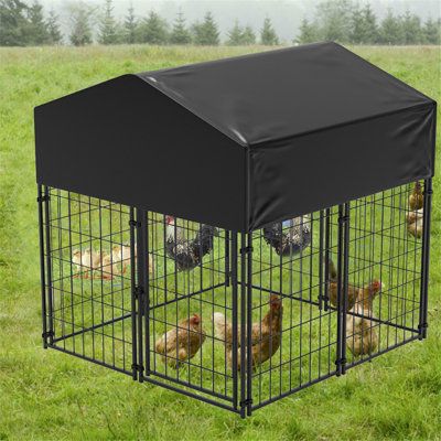 Our Outdoor Covered Dog Yard Kennel has everything you need to quickly and easily assemble a professional outdoor enclosure for the safety of your dog. It's built to last with 100% commercial-grade galvanized steel construction and reversible weather and UV-resistant canopy top that offers rain and sun protection. | BingoPaw Heavy Duty Roof Cover Dog Pen Metal in Black | 50 H x 50 W x 47.24 D in | Wayfair Metal Dog Kennel, Outdoor Enclosure, Dog Kennel Designs, Dog Yard, Pet Barrier, Dog Pen, Dog Crate Furniture, Dog Kennel Outdoor, Roof Covering