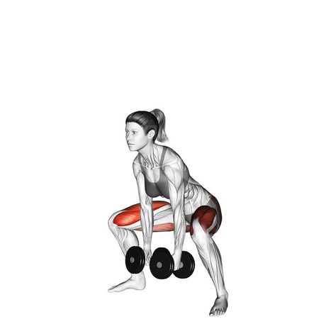 Deadlift Benefits, Powerlifting Program, Exercises With Dumbbells, Sumo Deadlift, Muscle Groups, Powerlifting, Lower Back, Training Programs, Strength Training