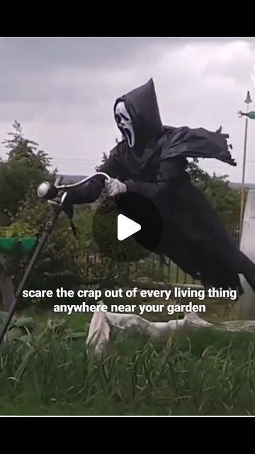 Mr RoW on Instagram: "Scariest Scarecrows ever👍 #itsnot_stupid_ifitworks  #genius #gardening #gardenlife #gardendesign" Funny Scarecrow Ideas, Scarecrow Ideas, Scary Scarecrow, Diy Scarecrow, Instagram Videos, Unique Gardens, Small Space Gardening, Garden Pests, Halloween Haunt