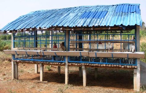 Goat Farm Design, Goat Coop, Goat Housing, House Design Philippines, Goat Feeder, Shed Design Plans, Goat Shed, Goat Shelter, Goat Pen