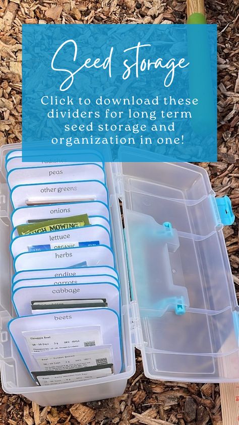 Seed Packet Organization, Seed Storage Containers, Seed Container Ideas, Seed Packet Storage Ideas, Seed Packet Storage, Garden Seed Storage, Seed Storage Ideas Diy, Seed Storage Organization, Seed Organization Ideas