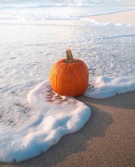 Beach Clouds, Pumpkin Wallpaper, Fall Beach, Halloween Stories, Autumn Scenery, Fall Photoshoot, Pumpkin Seasoning, Holiday Pictures, Happy Fall Y'all