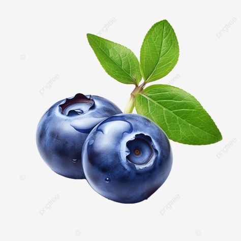 hyper realistic 3d blueberry singing with subtlety blueberry 3d fruit png Png Fruit, Fruit Png, Transparent Image, Holiday Flyer, Png Transparent, Free Png, Png Image, Png Images, Graphic Resources