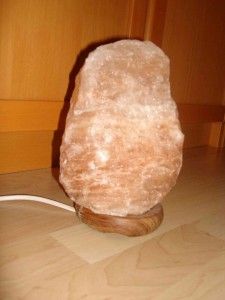 salt lamp for emfs Anti Oxidant Foods, Himalayan Salt Crystals, Electromagnetic Radiation, Emf Protection, Salt Lamp, Healthy Ideas, Crystal Lamp, Healthy Families, Cool Plants