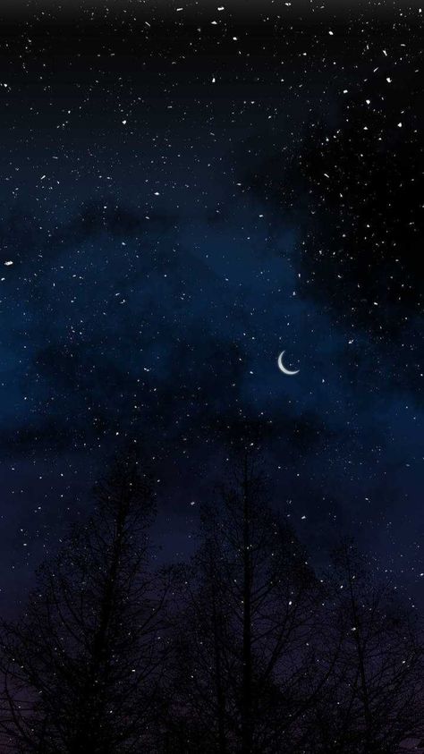 Royal Servant, Starry Night Wallpaper, Night Sky Moon, Night Sky Painting, Night Sky Photography, Night Sky Wallpaper, Sky Photos, Sky Painting, Sky View