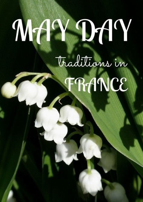 May Day Traditions, Portland Maine Travel, May Day Baskets, African American History Month, 1. Mai, Lily Of The Valley Flowers, Maine Travel, Valley Flowers, Bastille Day