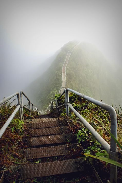 Stairway to Heaven - Oahu Hawaii #beautiful #awesome #great #dayobamidele Stairway To Heaven Hawaii, Haiku Stairs, Oahu Map, Hawaii Mountains, Stairs To Heaven, Us Destinations, Stairway To Heaven, Get Outdoors, Oahu Hawaii