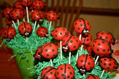 Bug Cake Pops, Ladybug Cake Pops, Ladybug Birthday Party Ideas, Animal Themed Food, Ladybug Party Ideas, Birthday Ladybug, Miraculous Ladybug Party, Ladybug Cakes, Bug Cake