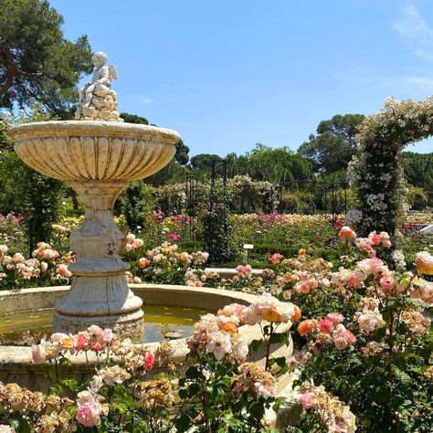 'La Rosaleda' rose garden in Retiro Park (Madrid, Spain). Madrid Botanical Garden, Rose Garden Aesthetic, Retiro Park Madrid, Madrid Aesthetic, Spain History, Literature Project, Formal Garden Design, Retiro Park, Rose Gardens