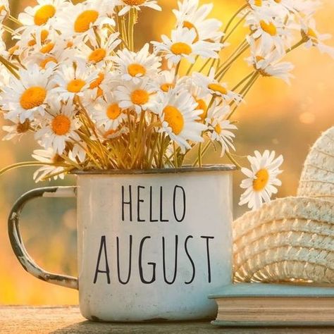 Ashley Wakefield - Licensed Realtor & Designer, Joplin, MO August Month Quotes, Welcome August Quotes, Hallo August, Hello August Images, August Pictures, August Images, Candy Photoshoot, Welcome August, August Quotes