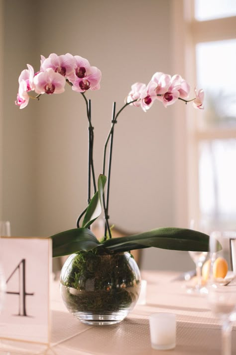 Orchid Wedding Theme, Orchid Centerpieces Wedding, Orchids Painting, Orchid Photography, Beautiful Wedding Centerpiece, Wedding Fotos, Orchid Centerpieces, Orchid Bouquet, Orchid Wedding