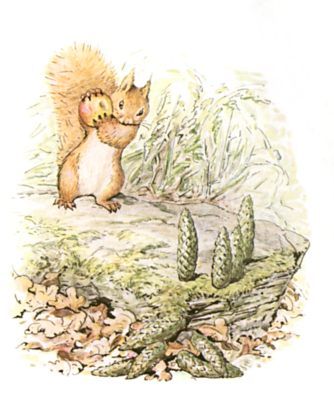 The squirrels filled their little sacks with nuts.  But Nutkin sat upon a big flat rock, and played ninepins with a crab apple and green fir-cones. Gumnut Babies, Squirrel Nutkin, Beatrix Potter Illustrations, Woodland Illustration, Beatrice Potter, Fir Cones, Peter Rabbit And Friends, Birthday Pics, Potter Art