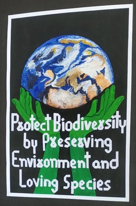 Biodiversity Loss, You Make A Difference, A Student, Make A Difference, How Can, Drawings, Movie Posters, Quick Saves, Film Posters