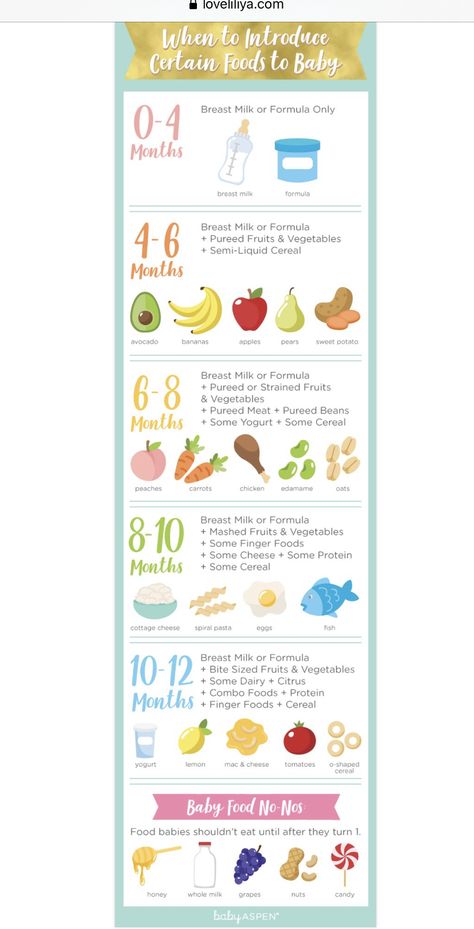 6 Month Puree Schedule, 4 Month Old First Food, Puree Schedule, Baby Food Starter Guide, How Much Baby Eats, 4 Month Old Food Ideas, Puree Ideas For Babies, Food Introduction Chart Baby, Starter Foods For Babies