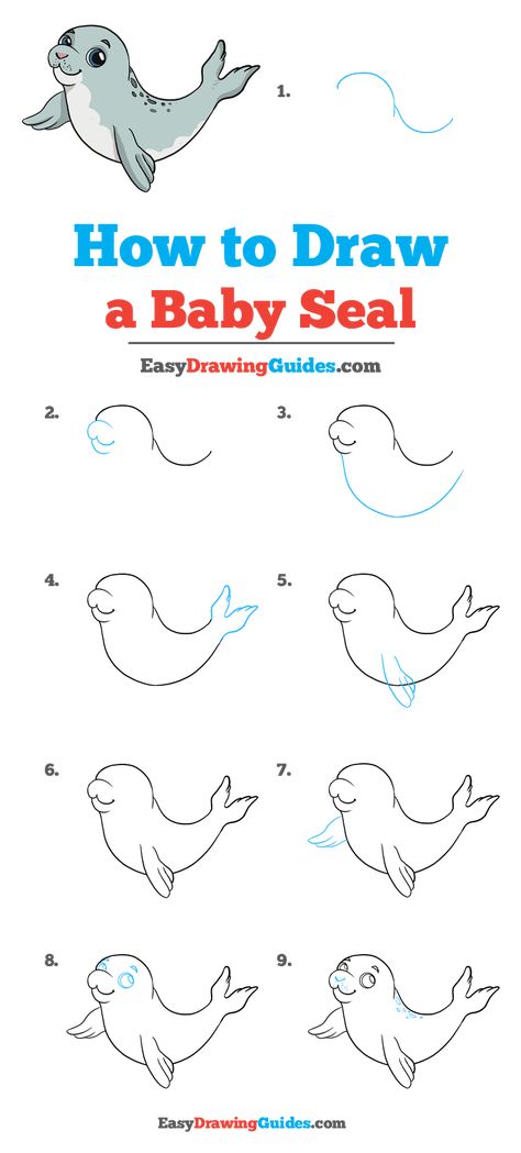 How to Draw a Baby Seal - Really Easy Drawing Tutorial Easy Drawing Guides, Harp Seal, Baby Animal Drawings, Drawing Guides, Seal Pup, Easy Drawing Tutorial, Baby Seal, Drawing Tutorials For Kids, Drawing Guide