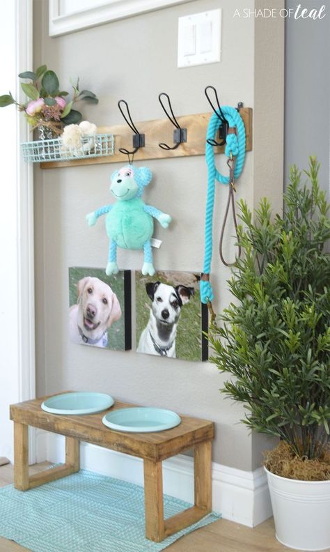 Dog Station, Puppy Room, Dog Corner, Basic Woodworking, Purple Dog, Dog Spaces, Dog Leash Holder, Dog German, Dog Area