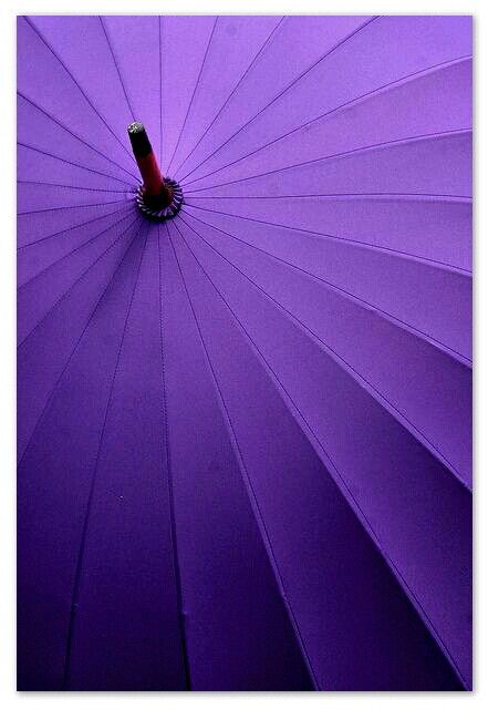 Purple Plum Purple Aesthetic, Purple Rocks, Purple Umbrella, Mood Aesthetic, Albert Schweitzer, Orchid Color, Fav Color, Color Board, Pastel Decor