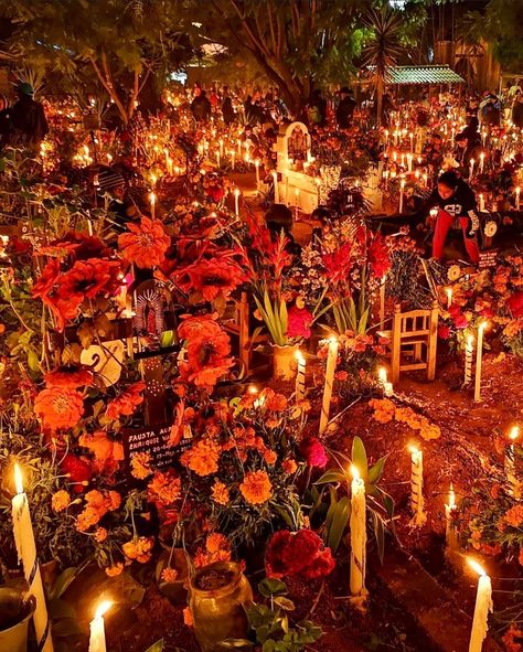 HOJASANTA BOUTIQUE on Instagram: “Día de Muertos Mexico 💫 🇲🇽 Fotografía @sergio_fabila ✔️🔝 Repost Día de Muertos es la tradición más importante donde se celebra a los…” Día De Muertos, Hispanic Heritage, Arts Ed, Mexican Culture, November 1, Dia De Muertos, Christmas Tree, Boutique, Holiday Decor