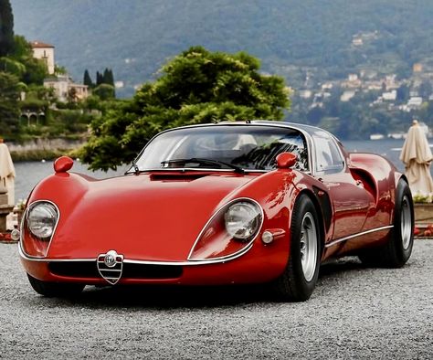 Alfa Romeo Cars, Classic Sports Cars, Italian Cars, Car Photography, Retro Cars, Beautiful Cars, Dandy, Alfa Romeo, Exotic Cars