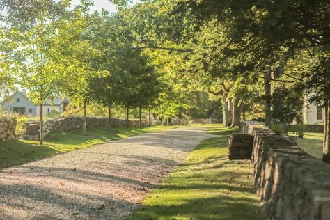 Sustainable Garden Design, Driveway Entrance, Sustainable Landscaping, Water Bill, Forest Path, Landscape Architects, Sustainable Garden, Perennial Garden, Old Farm